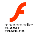 Flash Logo
